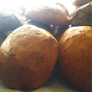 TAŞKÖPRÜ EKMEĞİ